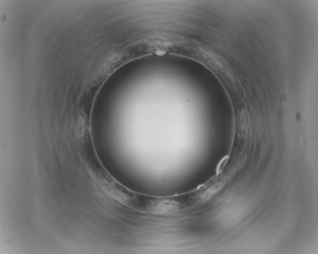 X0000070240463200606051129