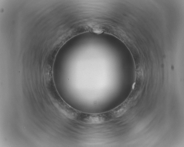 X0000070240464200606051129