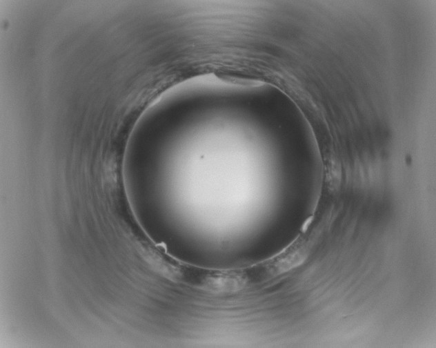 X0000070240466200606051129