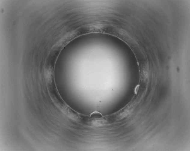 X0000070240468200606051129