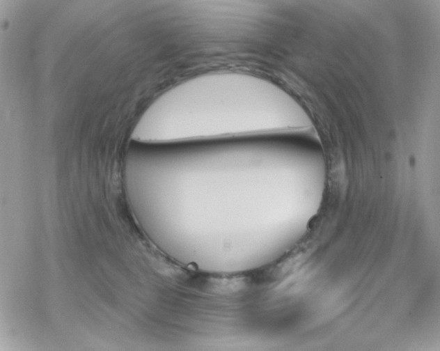 X0000070240469200606051129