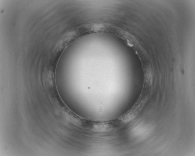 X0000070240470200606051129