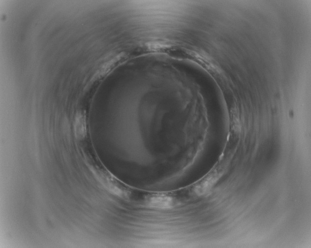 X0000070240471200606051129