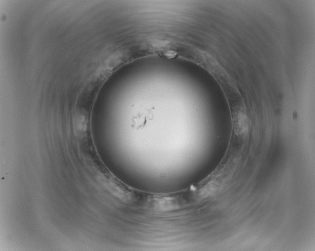 X0000070240472200606051129