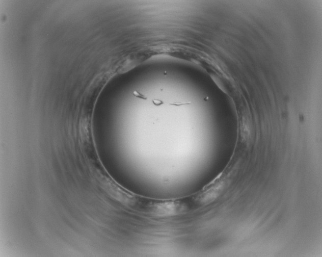 X0000070240473200606051129