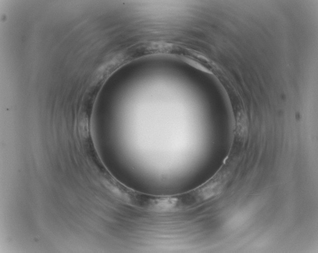 X0000070240474200606051129