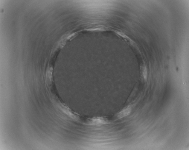 X0000070240475200606051129