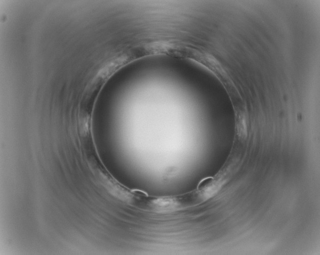 X0000070240477200606051129