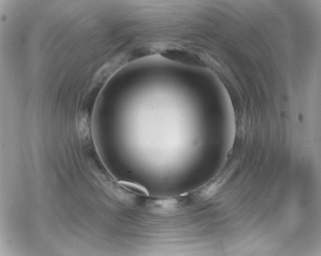 X0000070240478200606051129