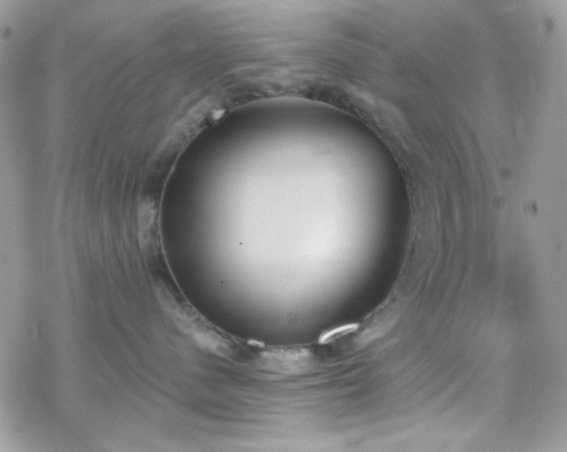 X0000070240480200606051129