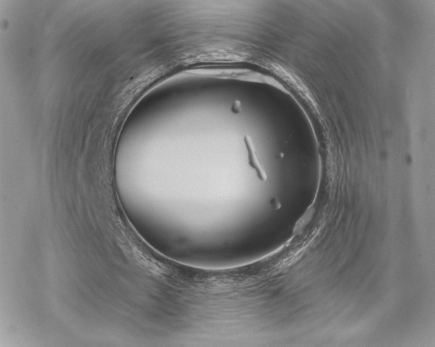 X0000070240481200606051129