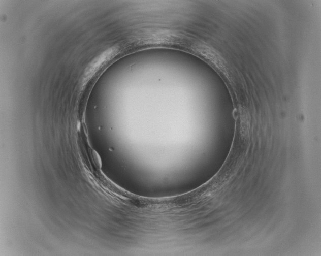 X0000070240482200606051128