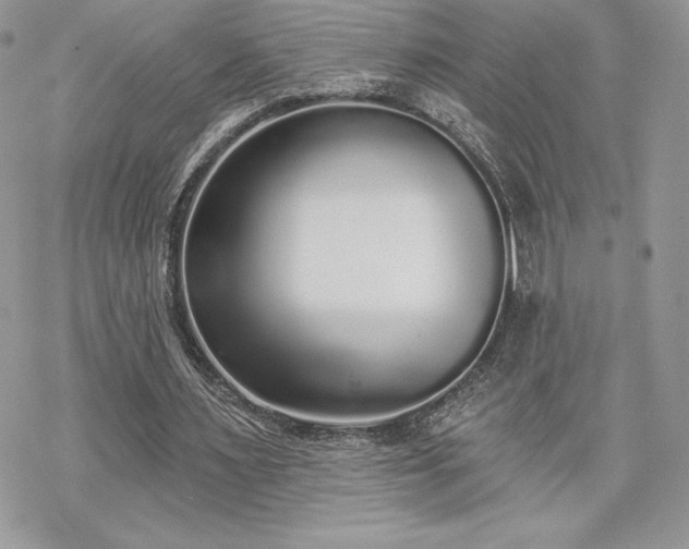 X0000070240483200606051128