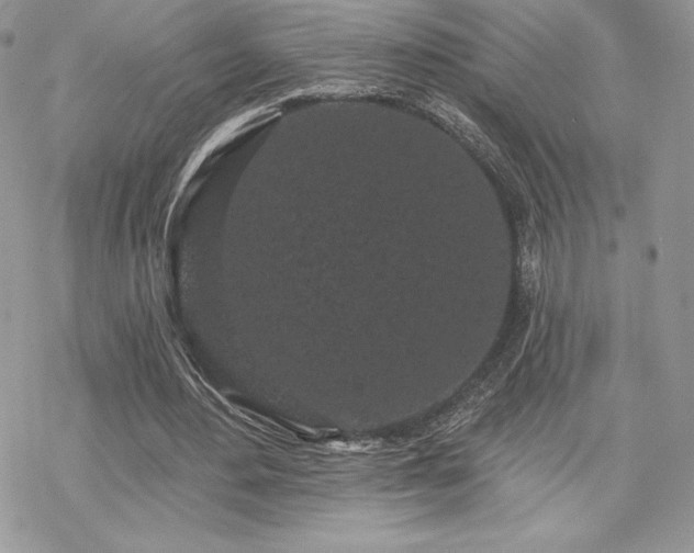 X0000070240484200606051128