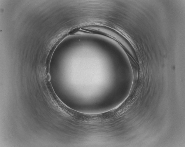 X0000070240485200606051128