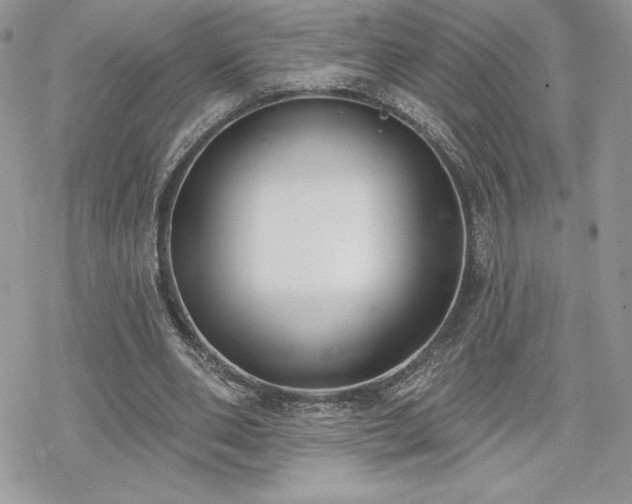 X0000070240486200606051128