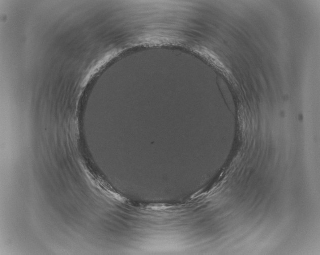 X0000070240488200606051128