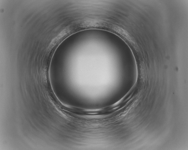 X0000070240489200606051128