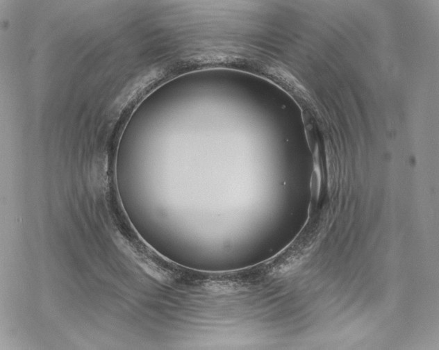 X0000070240490200606051128