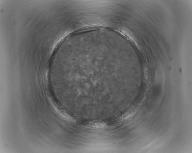 X0000070240491200606051128