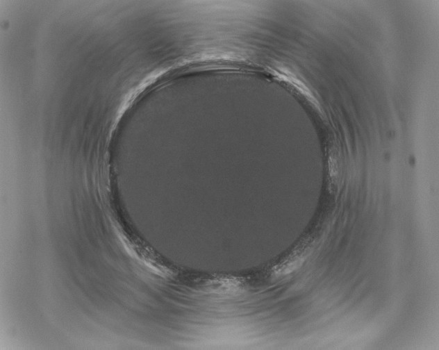 X0000070240492200606051128