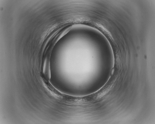 X0000070240493200606051128