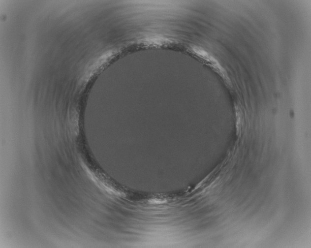 X0000070240496200606051128