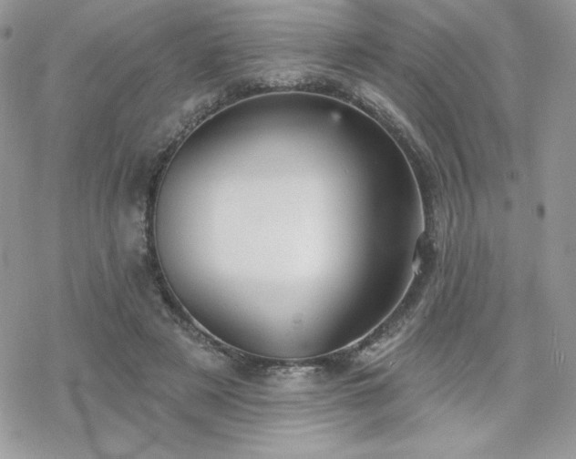 X0000070240497200606051128