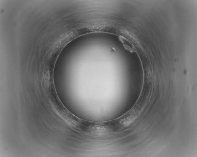 X0000070240498200606051128