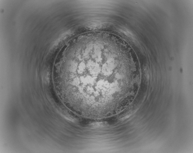 X0000070240499200606051128