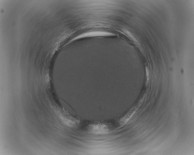 X0000070240500200606051128