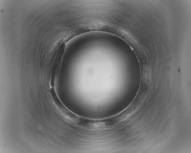 X0000070240501200606051128