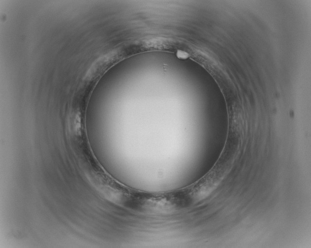 X0000070240502200606051128