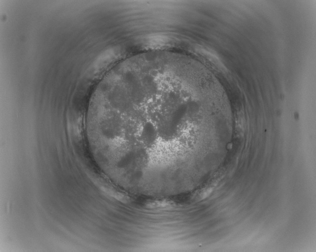 X0000070240503200606051128