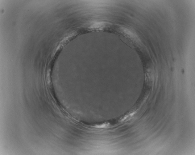 X0000070240504200606051128