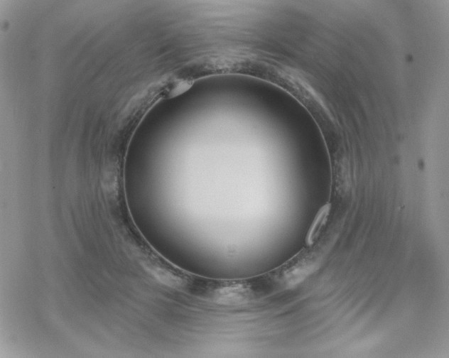 X0000070240505200606051128