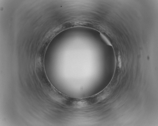 X0000070240506200606051128