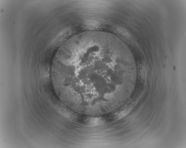 X0000070240507200606051128