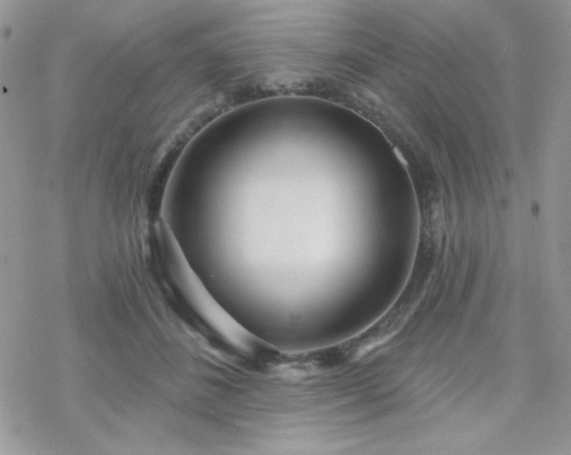 X0000070240508200606051128