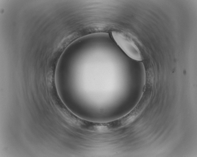 X0000070240509200606051128