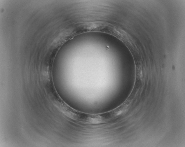 X0000070240510200606051128