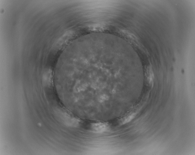 X0000070240511200606051128