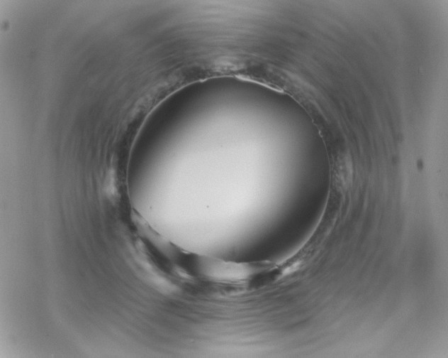 X0000070240512200606051128