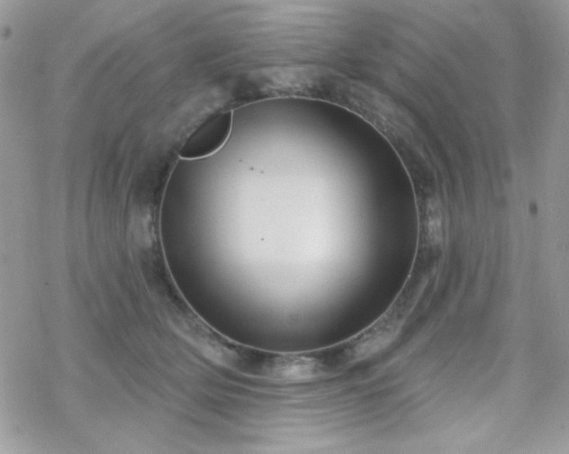 X0000070240514200606051128