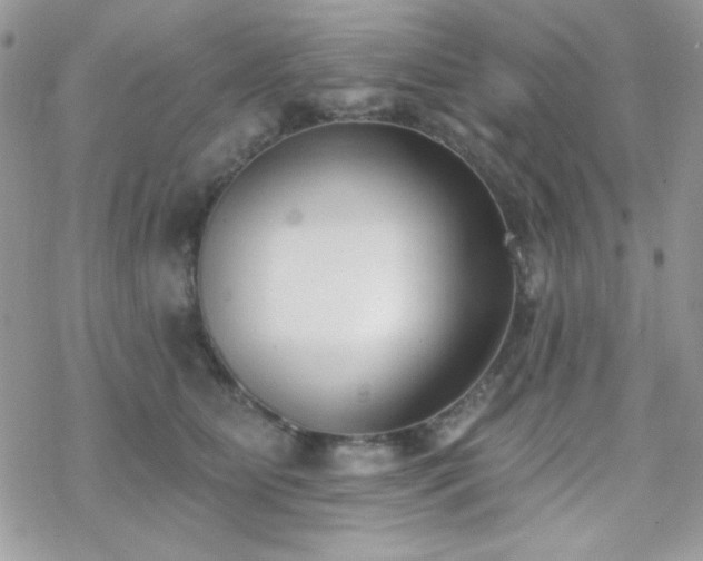 X0000070240515200606051128