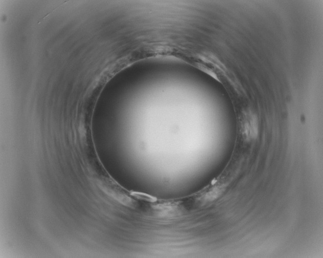 X0000070240516200606051128