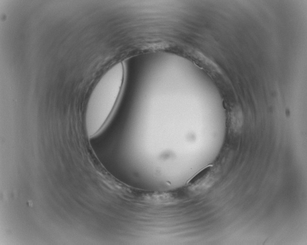 X0000070240517200606051128