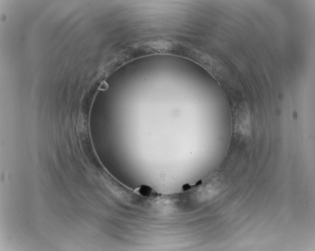 X0000070240518200606051128