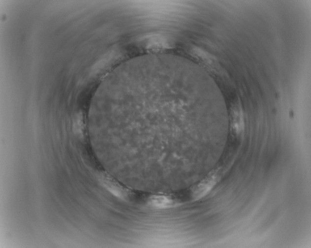 X0000070240519200606051128