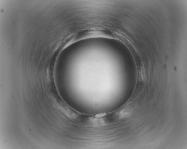 X0000070240520200606051128